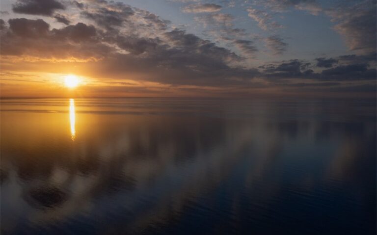 what symbolizes new beginnings